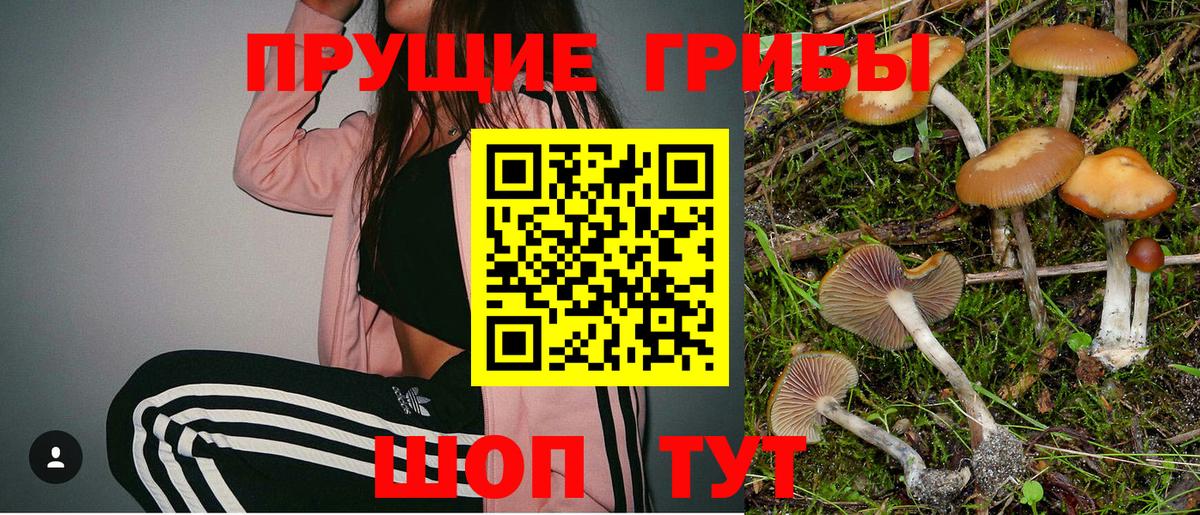 купить наркотик  Вход с VPN  Унеча  Псилоцибиновые грибы мухоморы 