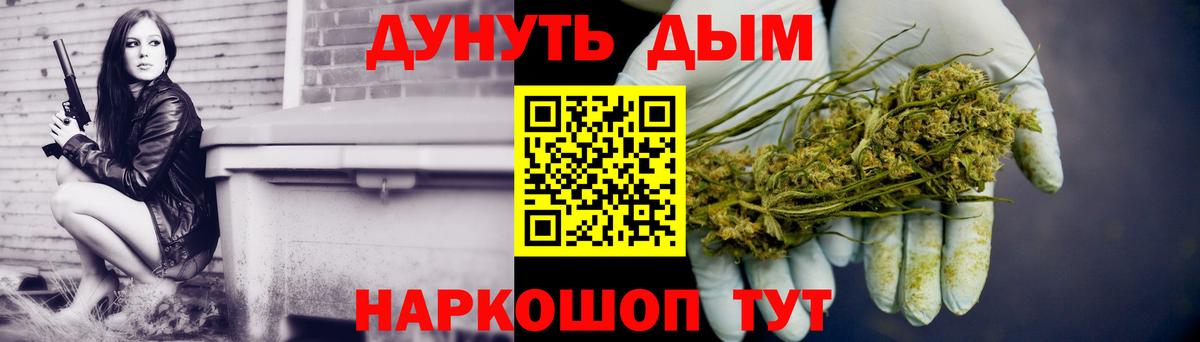 Унеча  Бошки Шишки планчик  Бошки Шишки LSD WEED  Вход с VPN  Каннабис индика  МАРИХУАНА сатива 